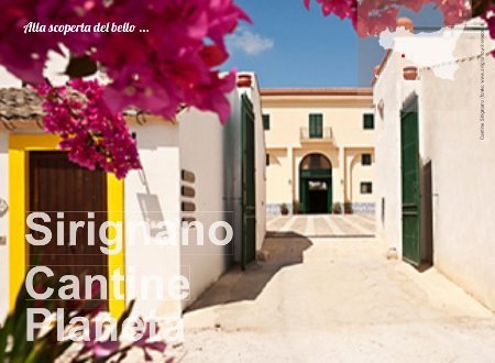 Tasting Wine tour